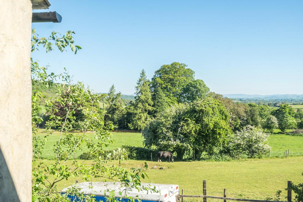 Countryside Views