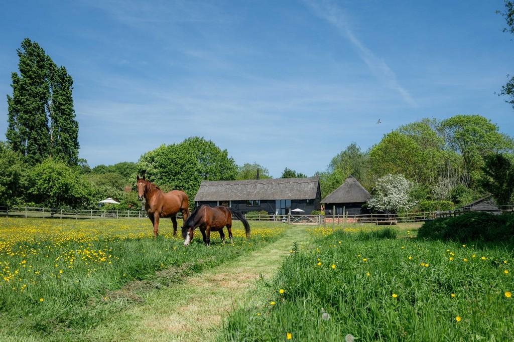 Spider Hall Barn-8771