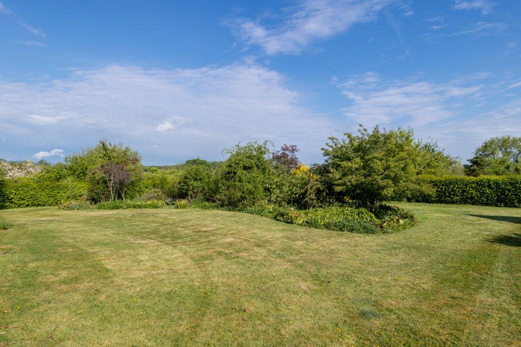 Garden.
