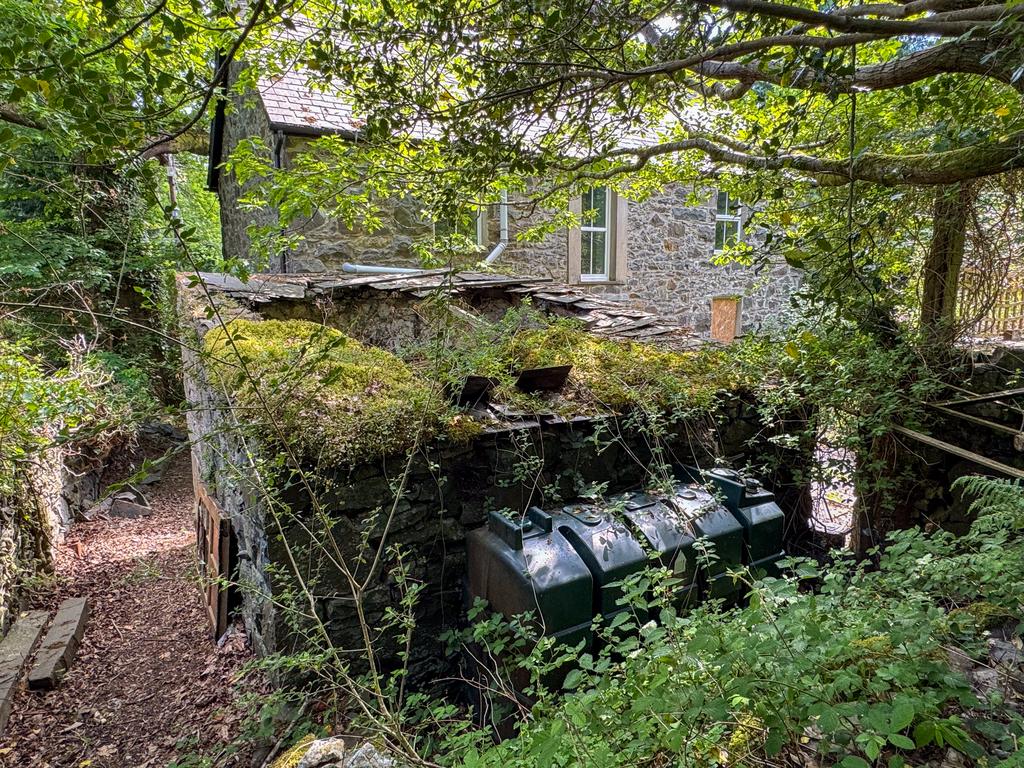 CRAIGYNOS-04 T202505191234.jpg