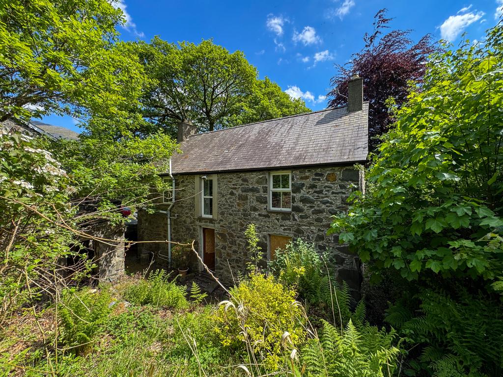 CRAIGYNOS-08 T202505191234.jpg