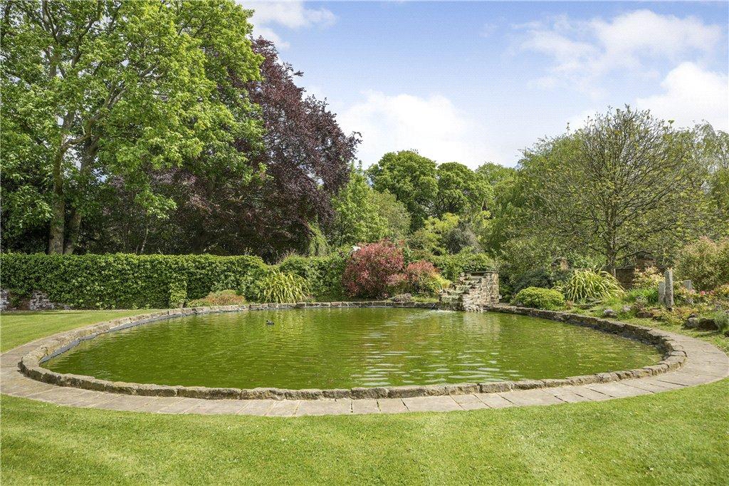 Pond