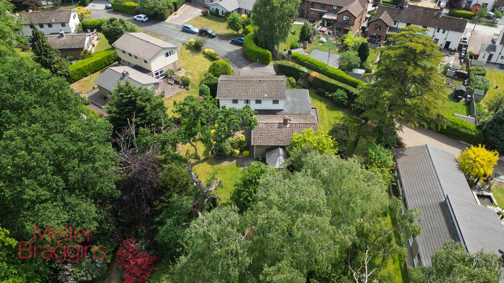 20250511-DJI 0667.jpg