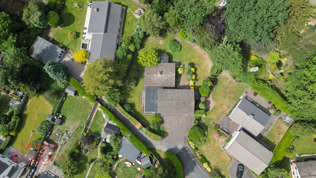 20250511-DJI 0665.jpg