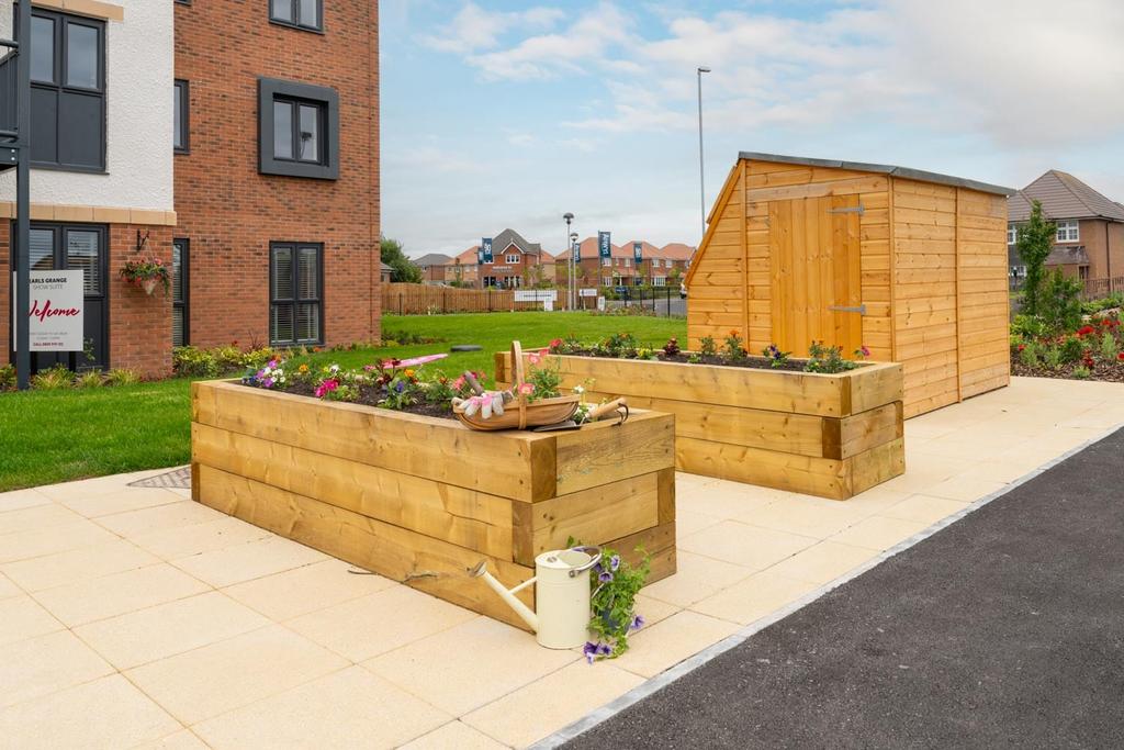Raised planters and potting shed