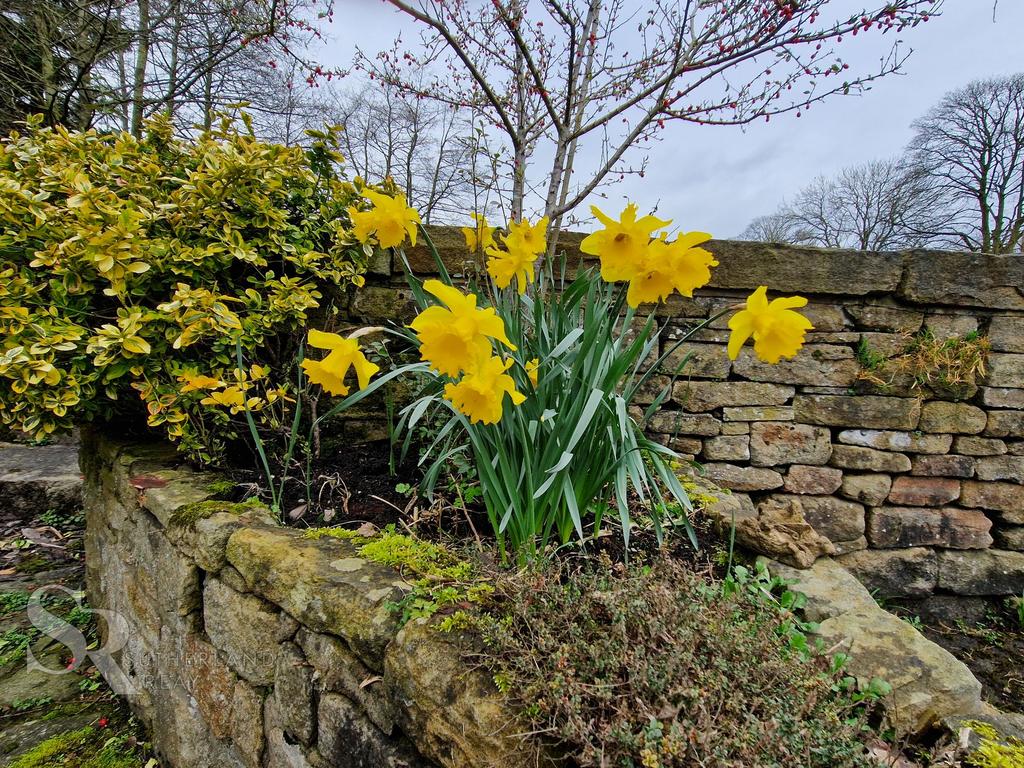 Communal Garden