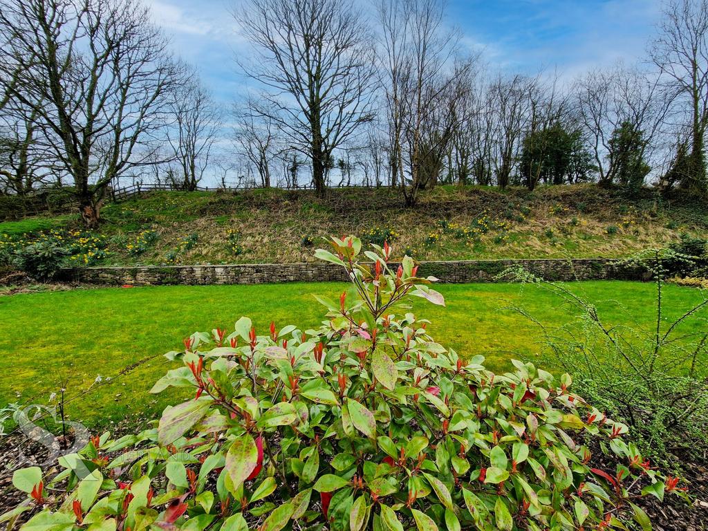 Communal Garden