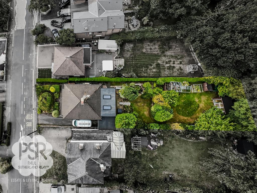 Plot Overview