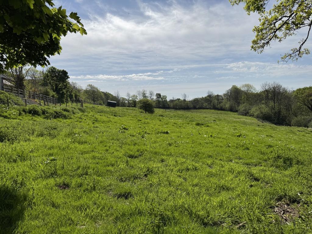 The land