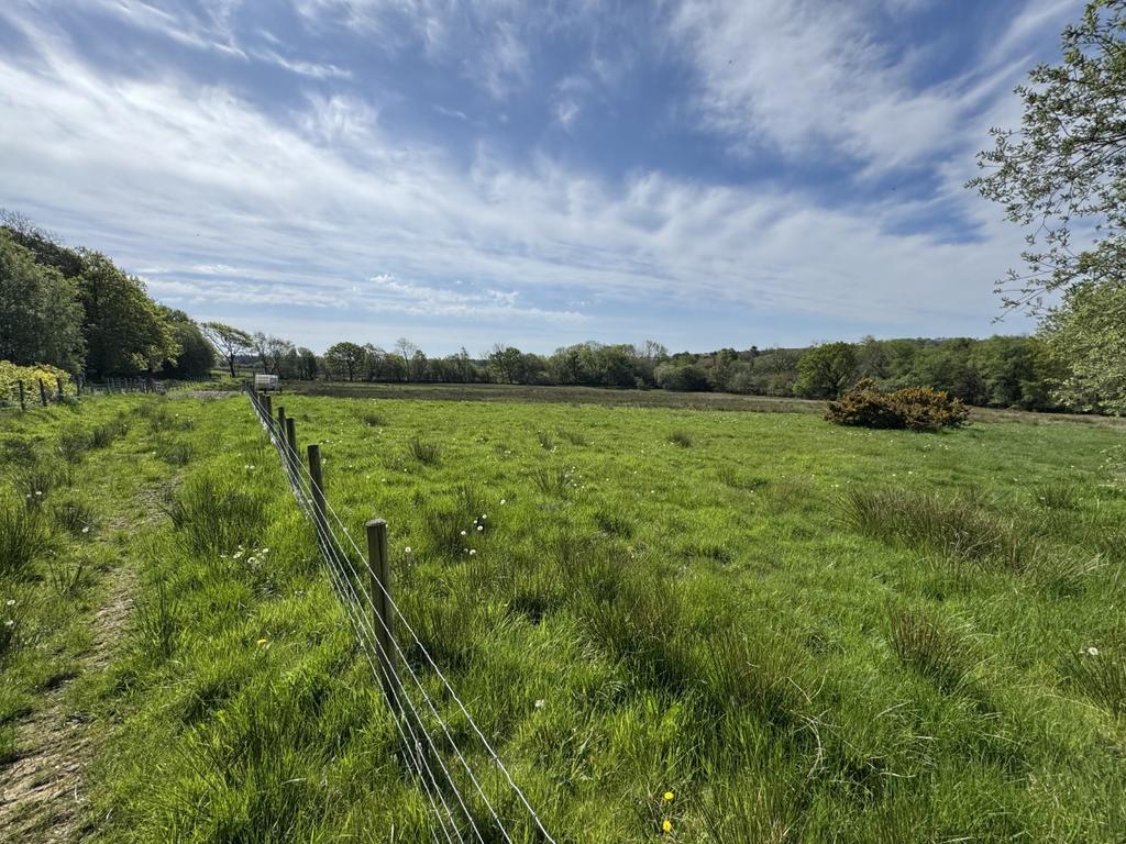 The land