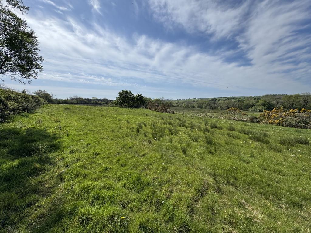 The land
