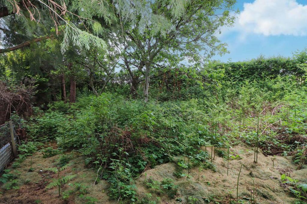 Orchard