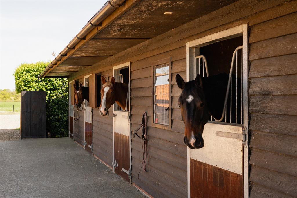 Stables