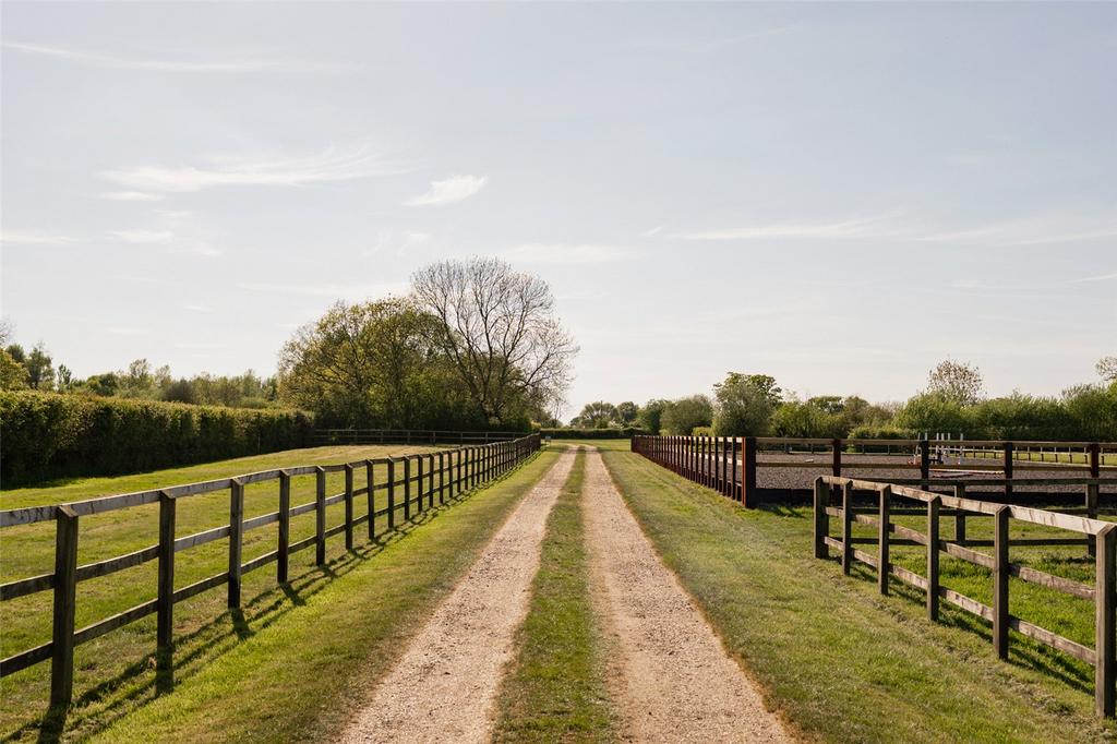 Grounds