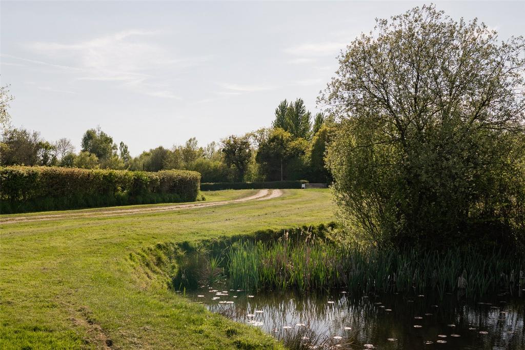 Grounds
