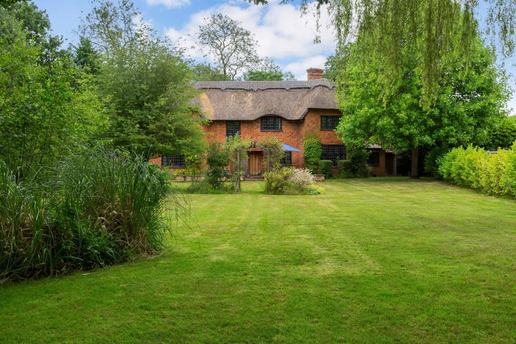 Rear Elevation