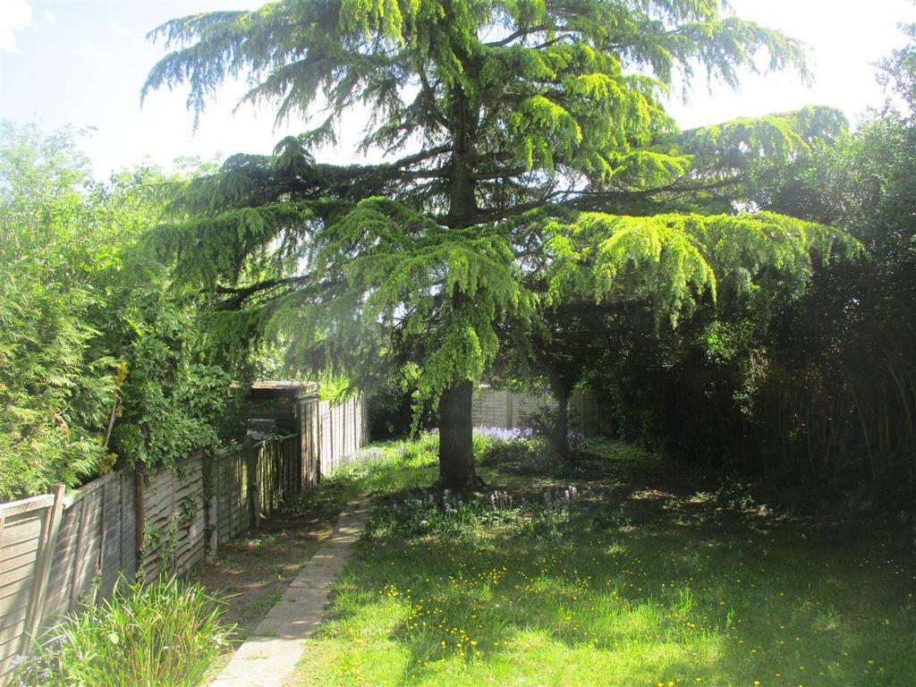 Img 4307.jpg