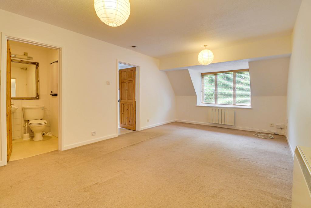 Living Room/Bedroom