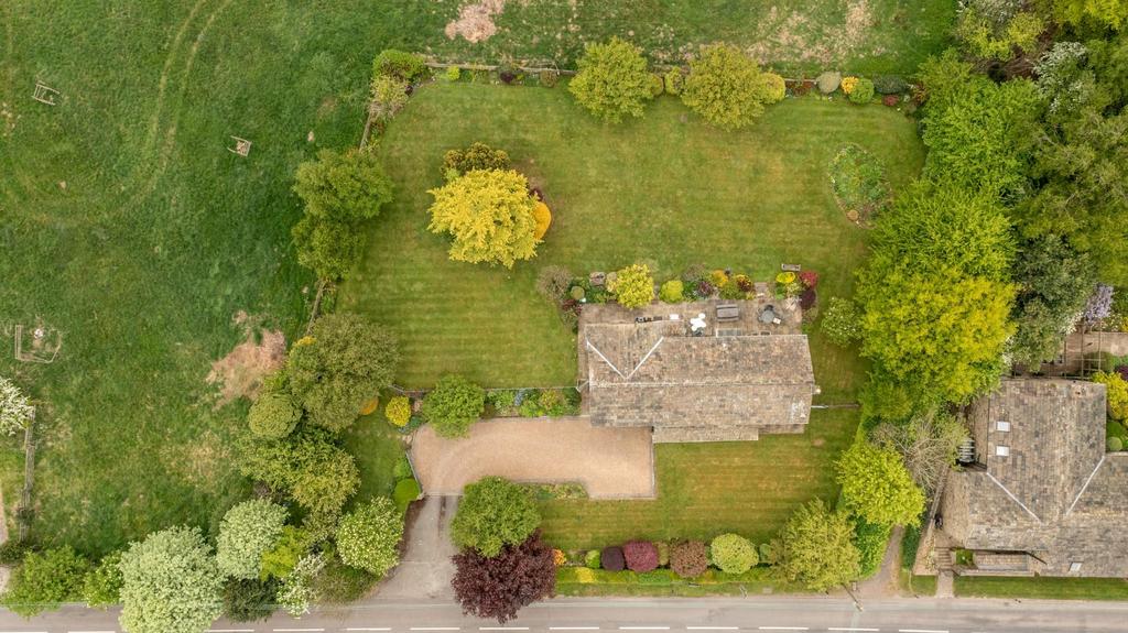 DJI 0142.jpg