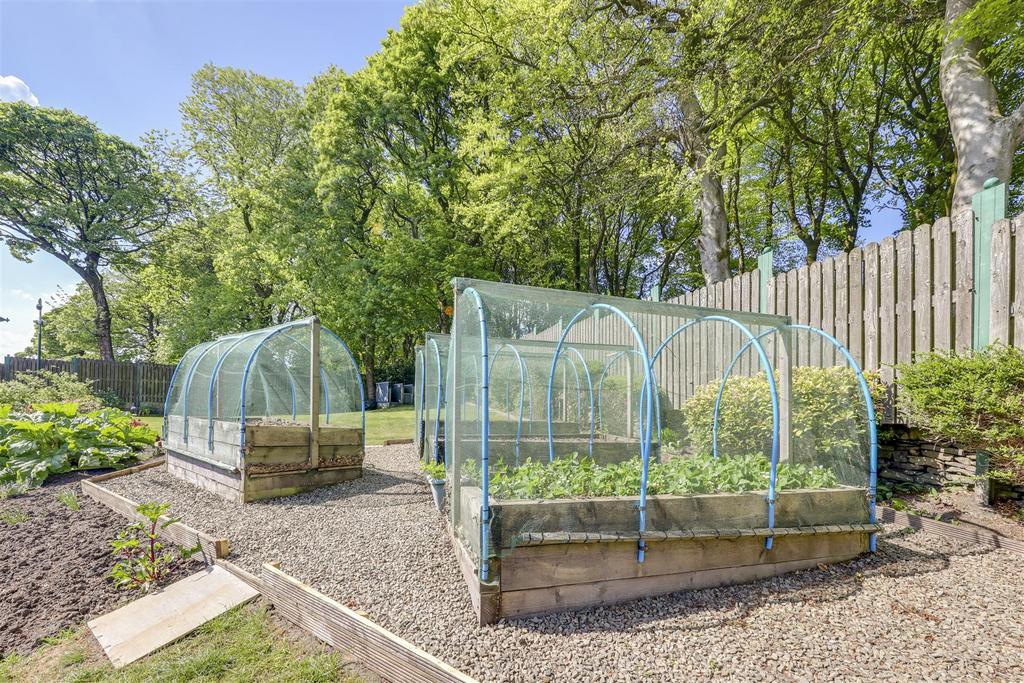 Veggie Area
