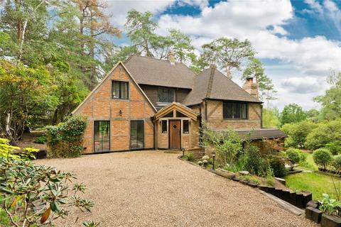 undefined, Dukes Covert, Bagshot, Surrey, GU19