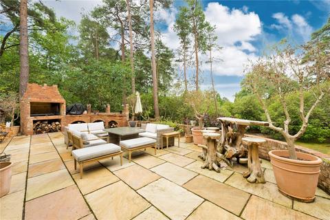 undefined, Dukes Covert, Bagshot, Surrey, GU19