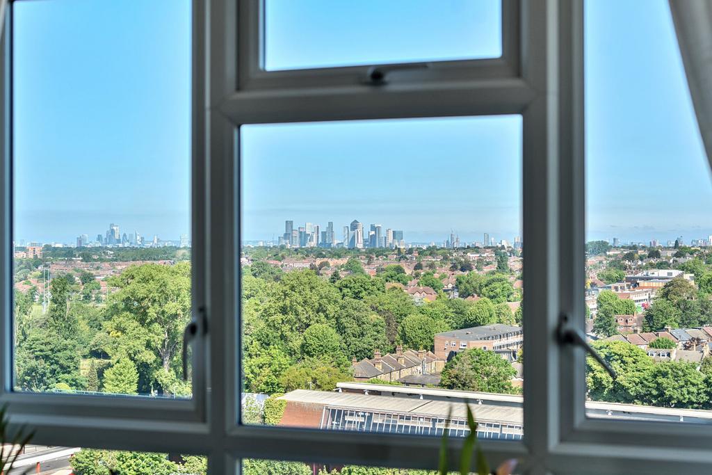 Window