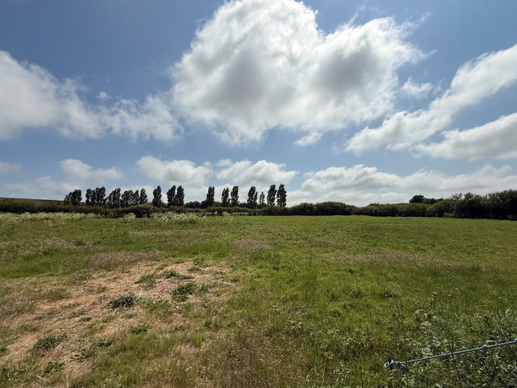 Site View