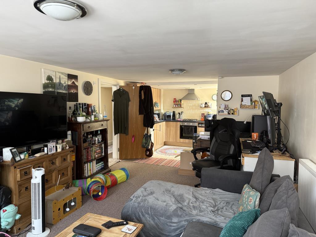 Flat D living room and kitchen