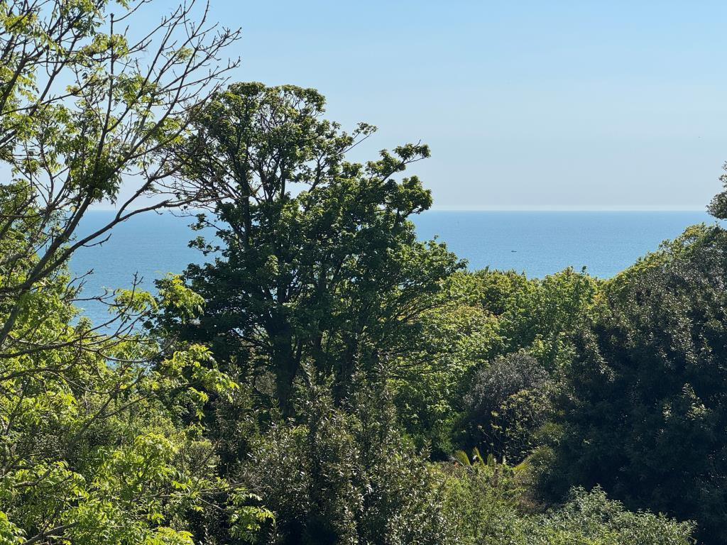 A View Photograph from the First Floor