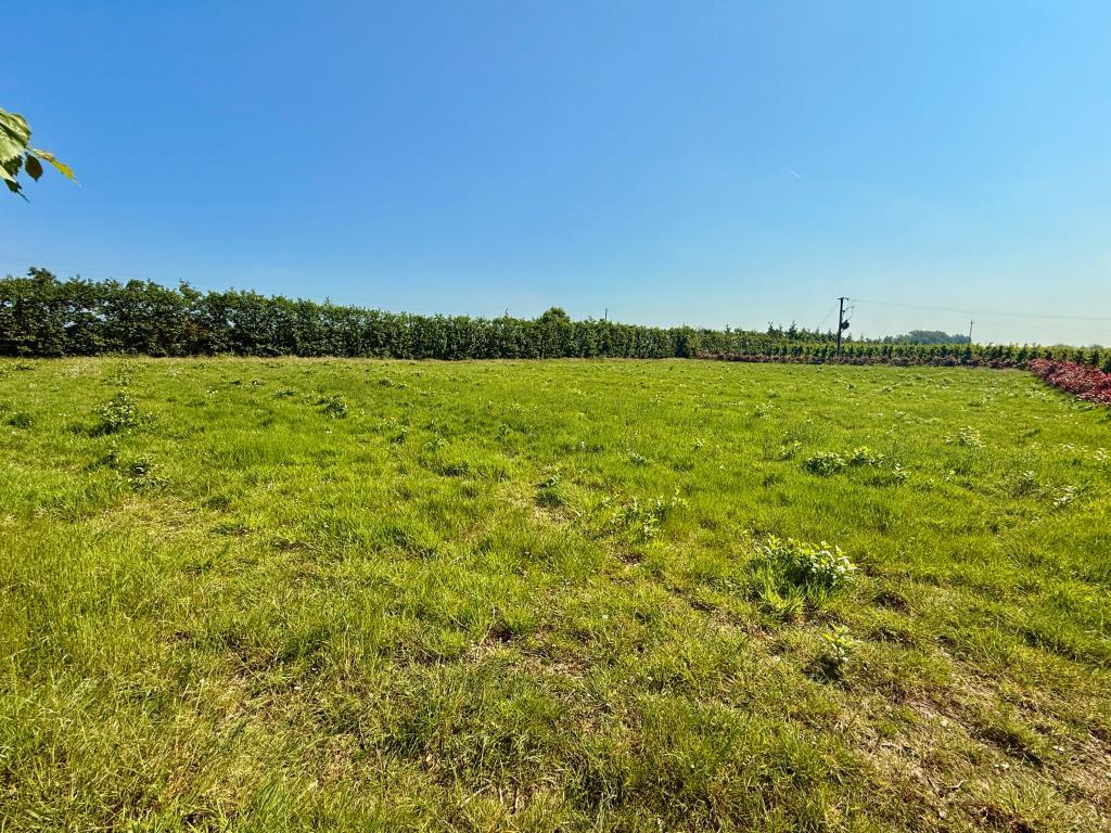 View of land