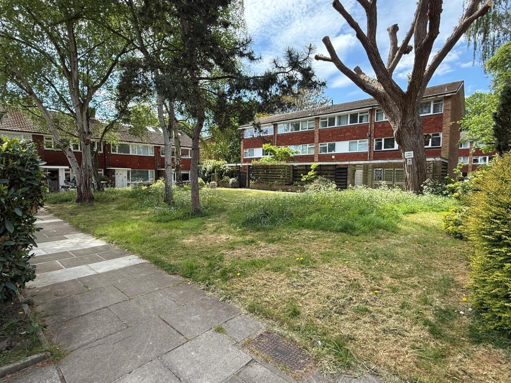 Rectangular parcel of land and trees on Kingfisher