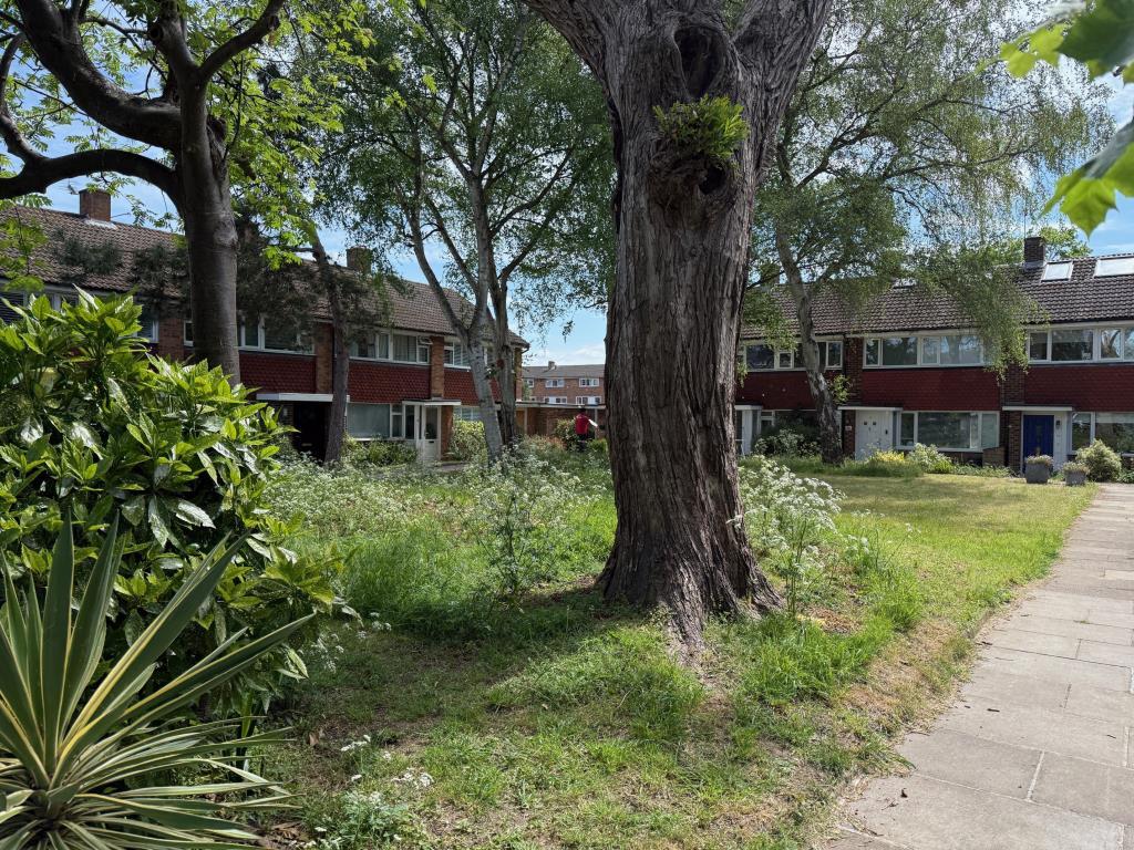 Rectangular parcel of land and trees on Kingfisher
