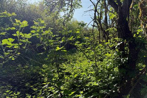 Land for sale, Land on The Southwest Side Of Waltham Road, Boreham, Chelmsford, Essex