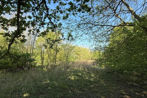 Land for sale, Land on The Southwest Side Of Waltham Road, Boreham, Chelmsford, Essex