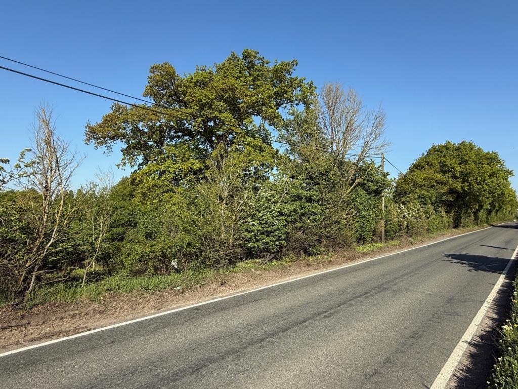 Road frontage looking along Waltham Road heading n