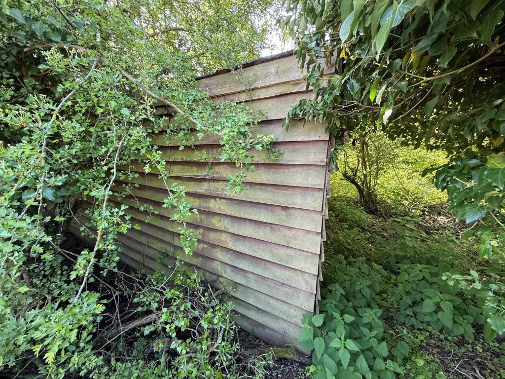 Disused timber stable building on the overgrown la