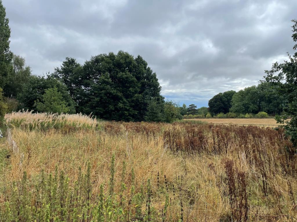 General view of land
