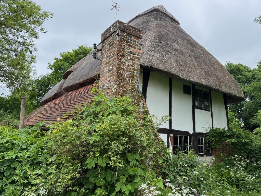Alternative view of property