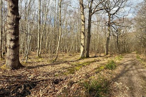 Land for sale, Moore Wood, Dunkirk, Faversham, Kent
