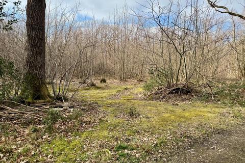 Land for sale, Moore Wood, Dunkirk, Faversham, Kent
