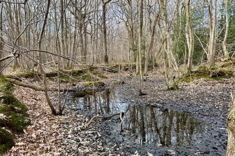 Land for sale, Moore Wood, Dunkirk, Faversham, Kent