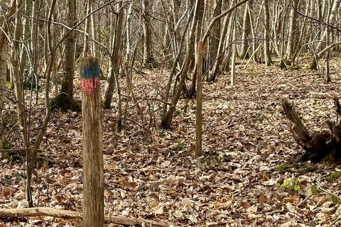Land for sale, Moore Wood, Dunkirk, Faversham, Kent