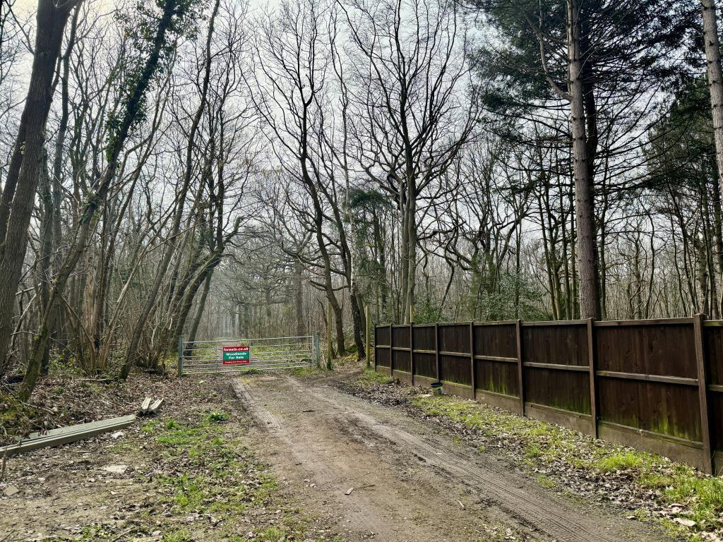 Gated access to woodland