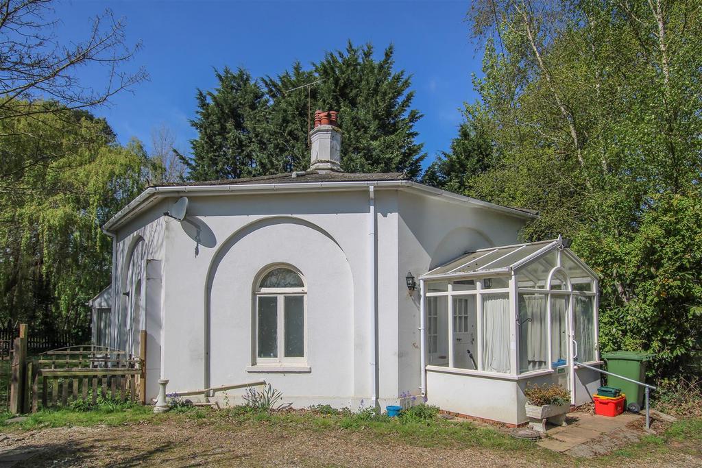 IMG 0519.jpg