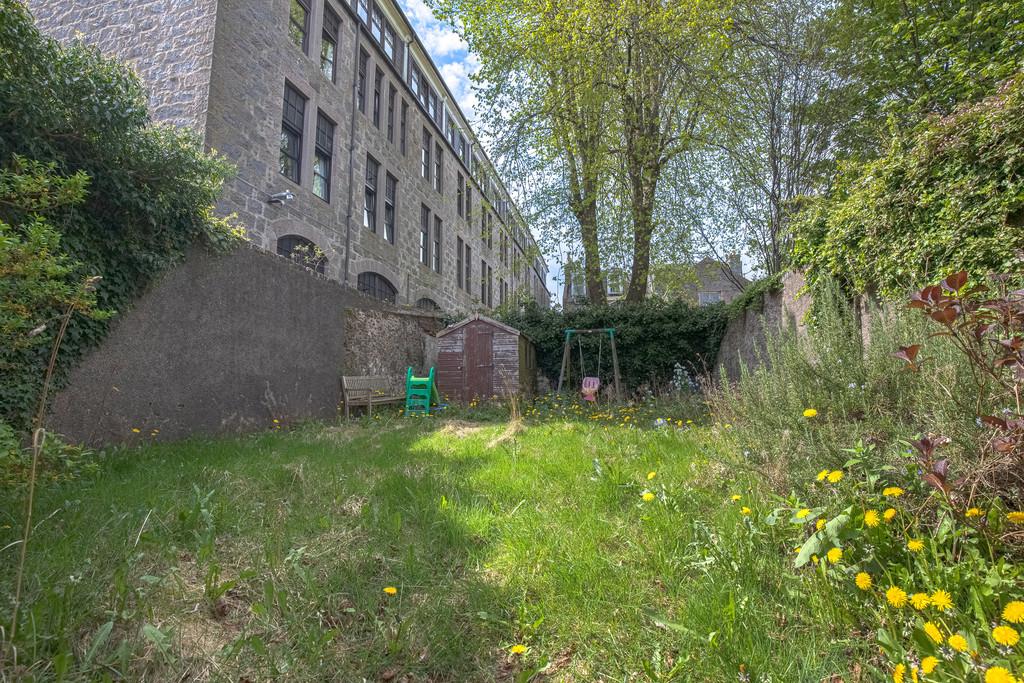 Back Garden
