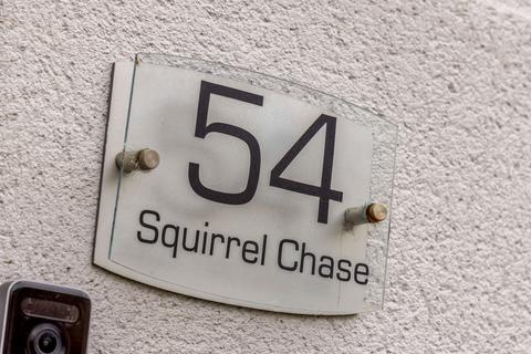 undefined, Squirrel Chase, Lincoln LN6