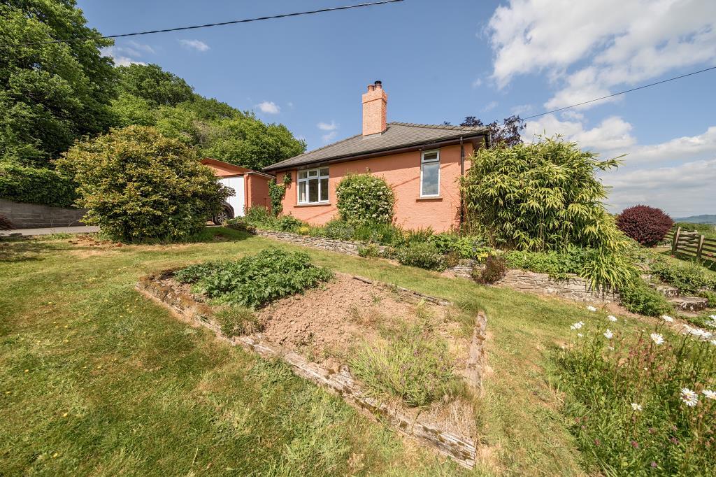 Photos