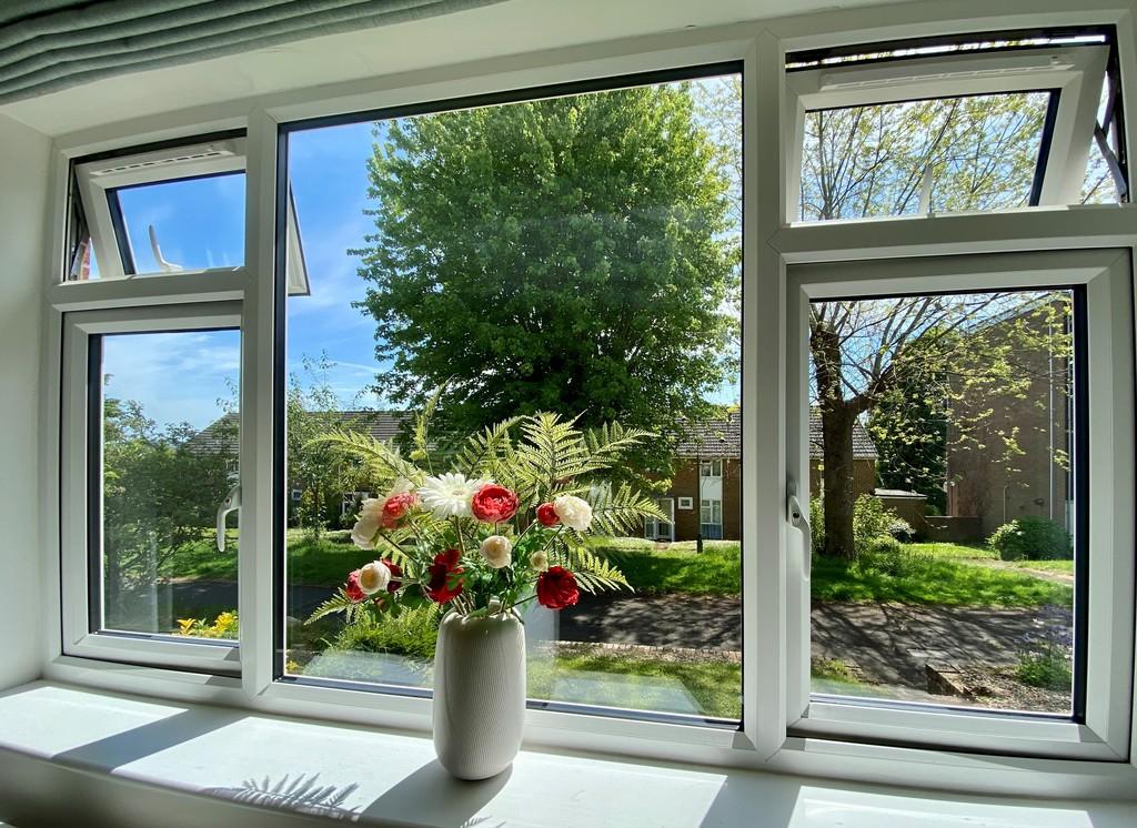 Living Room Window