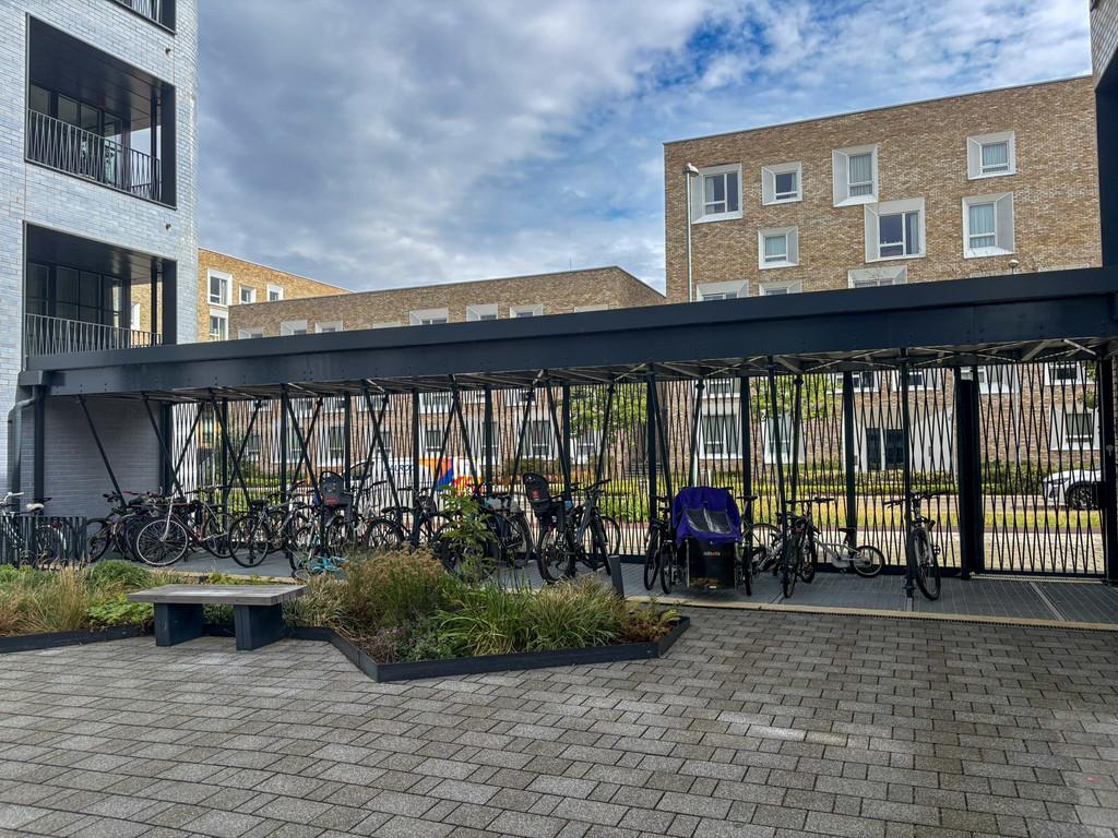 Bike Shed